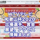 WTVテレビ和歌山杯2020(和歌山F1)アイキャッチ